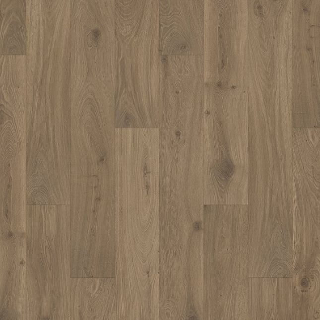 Gardenia North by Mohawk