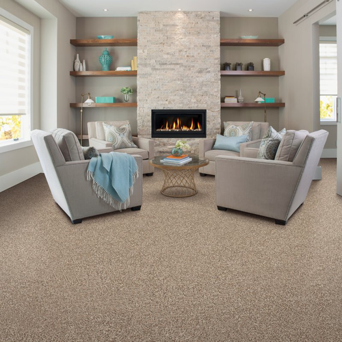 Altimate Flooring providing easy stain-resistant pet proof carpet in Rapid City, SD - Sp42 08