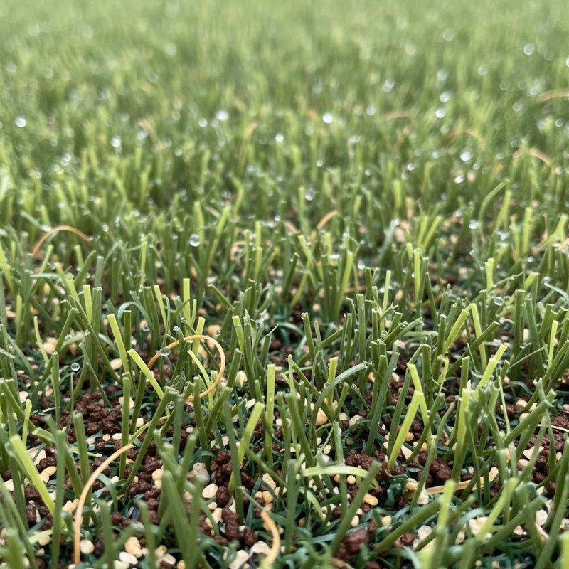 Artificial Grass